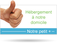 Anim'O : Hébergement, visite, promenade et pension pour chien Grand Nancy (54)